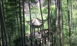 武义寿仙谷 武义寿仙谷